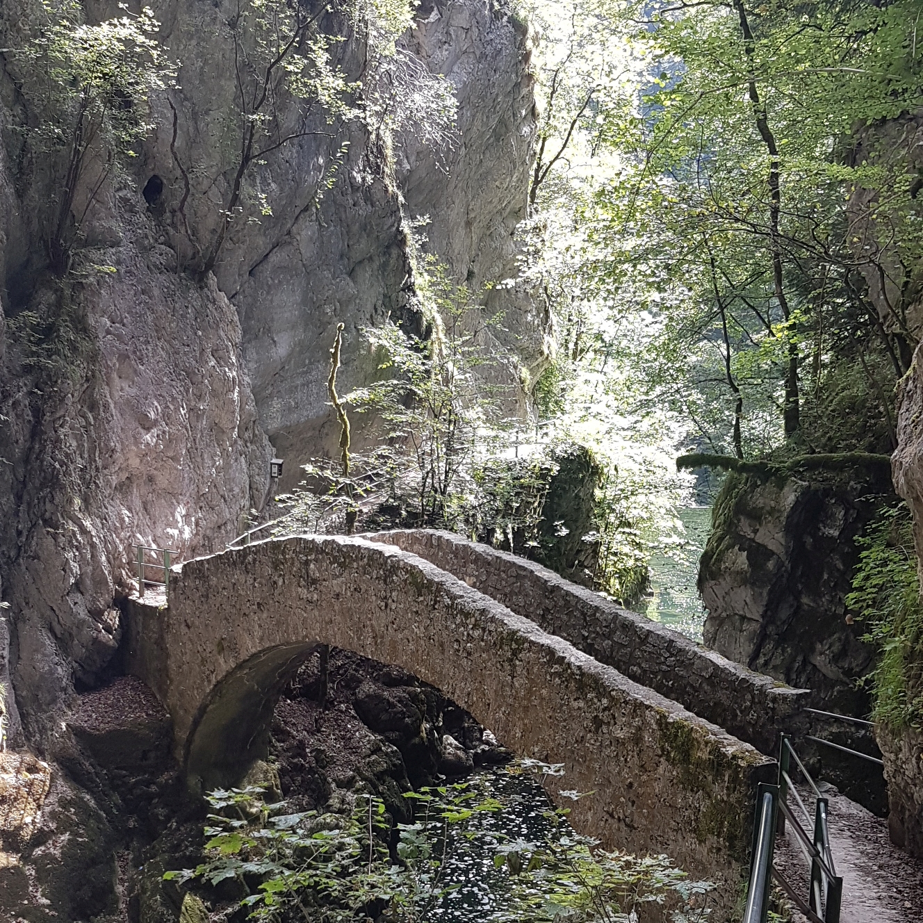 Bridge_Lowres